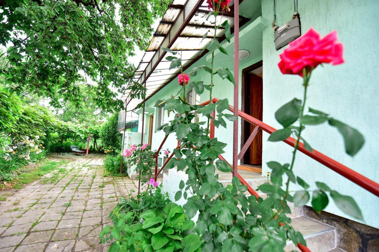 Flh - House Angelique Villa Сибиу Екстериор снимка